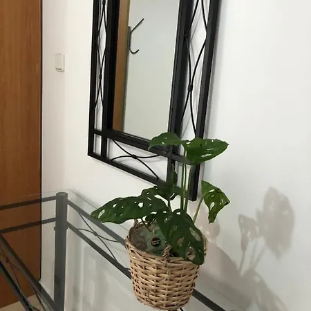 Lägenhet Moschoula *