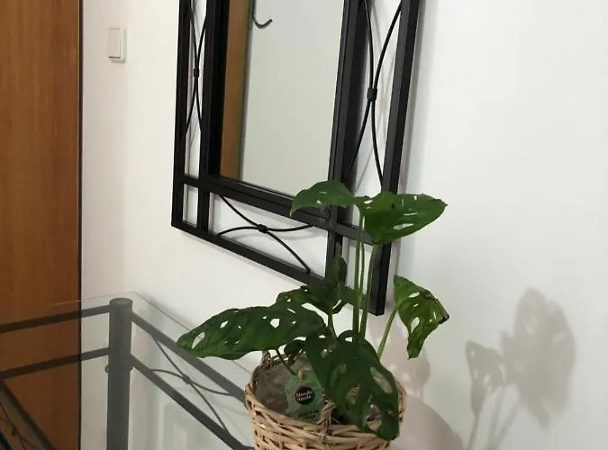 Lägenhet Moschoula *